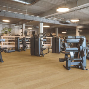 Sàn Gỗ Pergo Narvik Pro X 05191 loctienphat.net