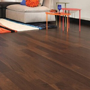 Ván Sàn Óc Chó loctienphat.net