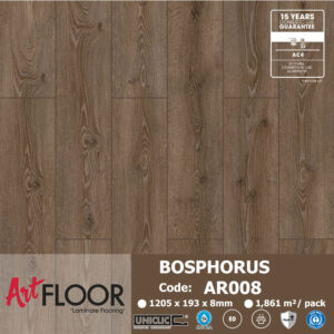 Sàn gỗ ARTFLOOR AR008