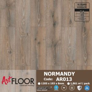Sàn gỗ ARTFLOOR AR013
